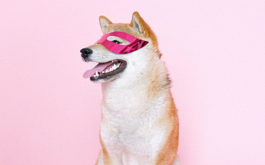 A photo of a Shiba Inu wearing an eyemask and 5 best sheet masks for aging skin