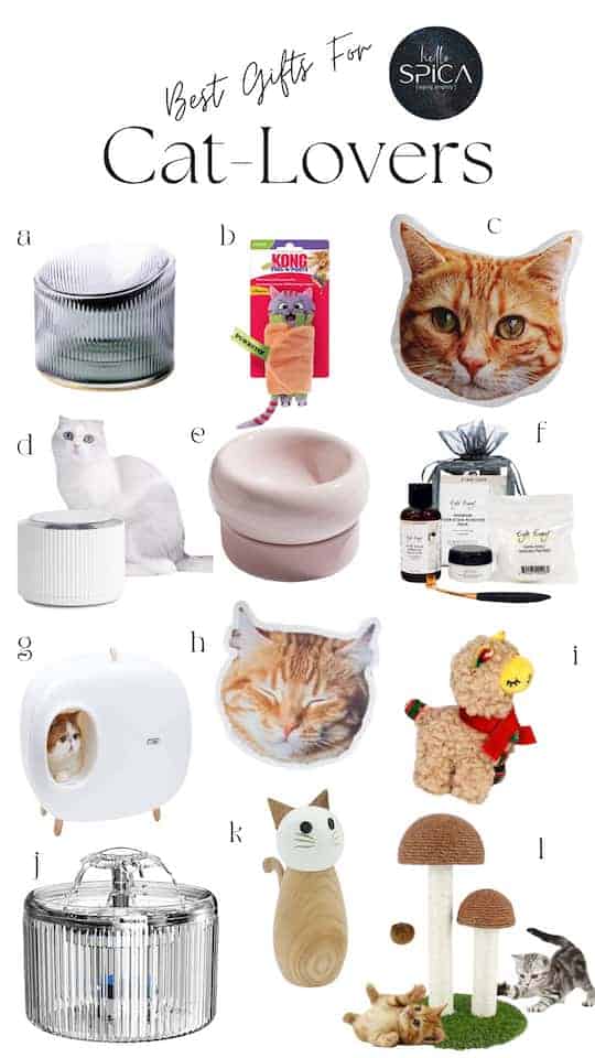 A photo of products for cool gift ideas for dogs and cats 
