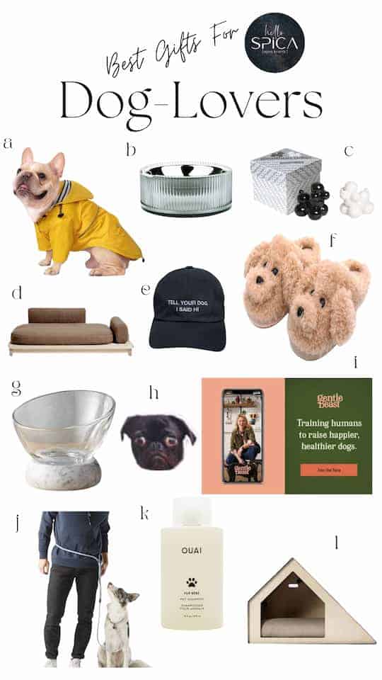 A photo of products for cool gift ideas for dogs and cats 