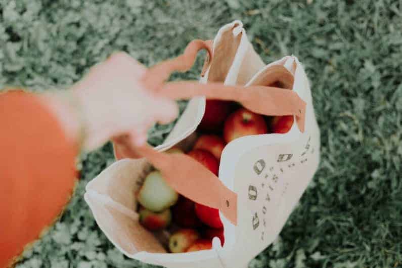 a photo of a reusable bag with apples and 9 easy ways to live a more eco-friendly life