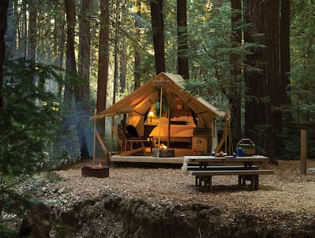 a photo of a glamping tent in the forest and 5 seriously cool glamping spots to visit in 2023