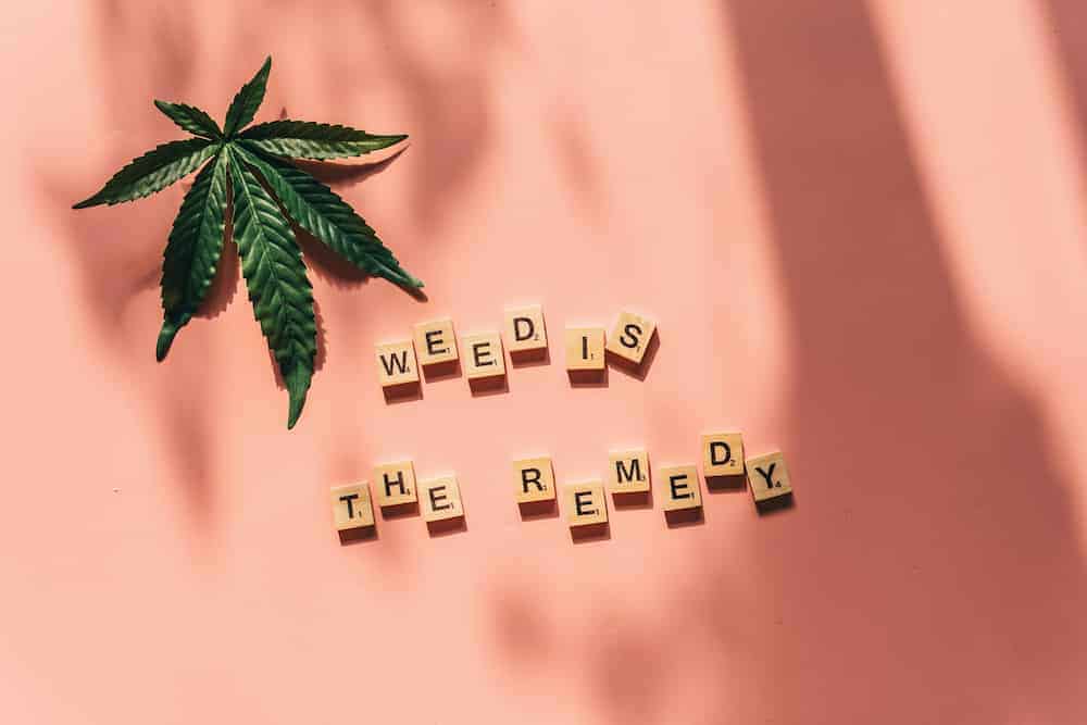 CBD Oils