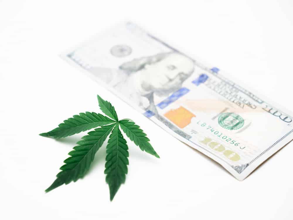 CBD Oils