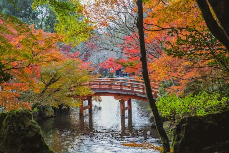 The Grown Up's Guide to Tokyo