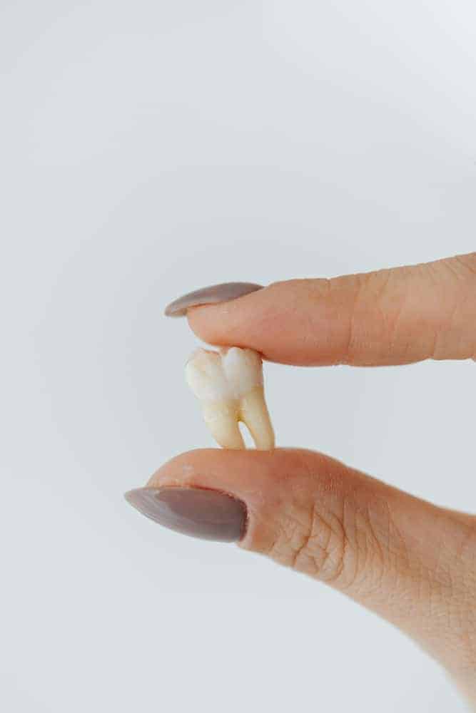 Electronic Toothbrush for Oral Care And Healthy Aging